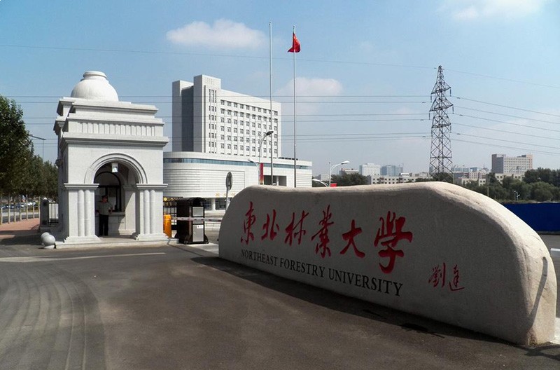 东北林业大学校门