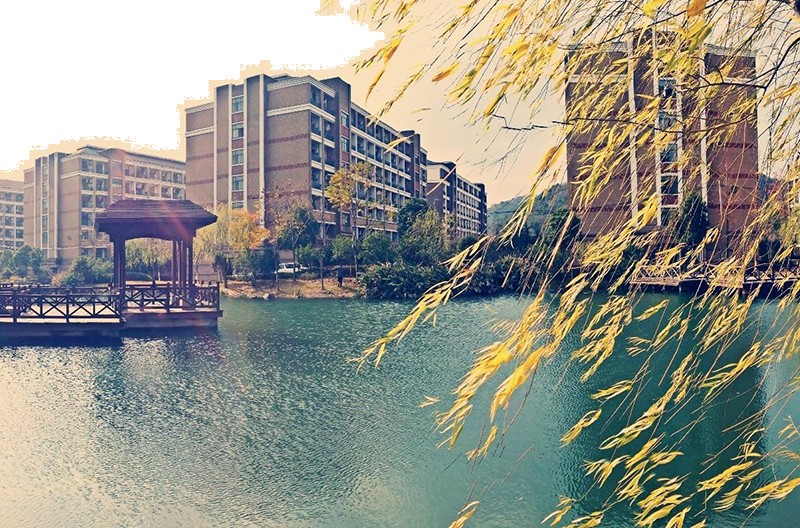 浙江工业大学风景2