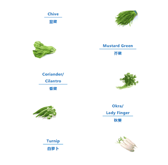 菜用英语怎么说图片