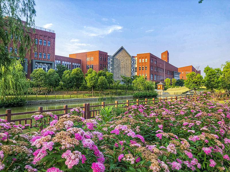 上海德威外籍人员子女学校浦西dulwichcollegeshanghaipuxi20202021